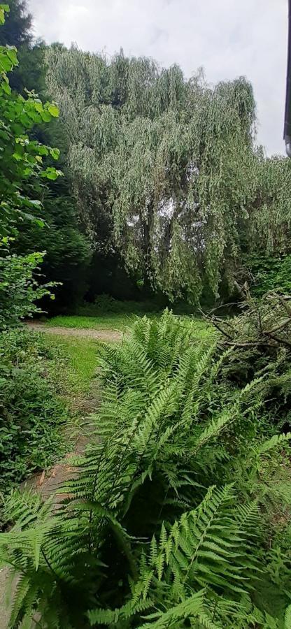 Fewo Im Naturschutzgebiet Hiddenhausen Exterior foto