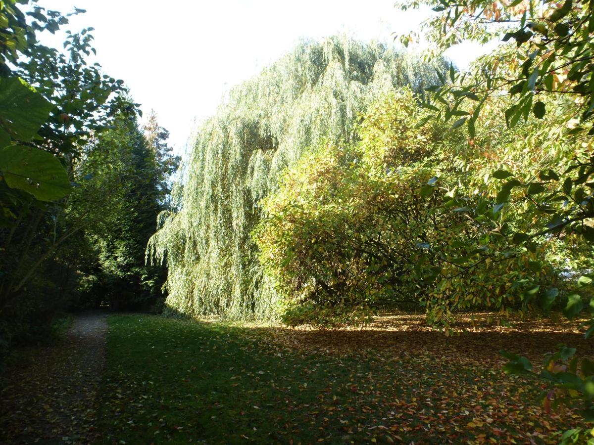 Fewo Im Naturschutzgebiet Hiddenhausen Exterior foto