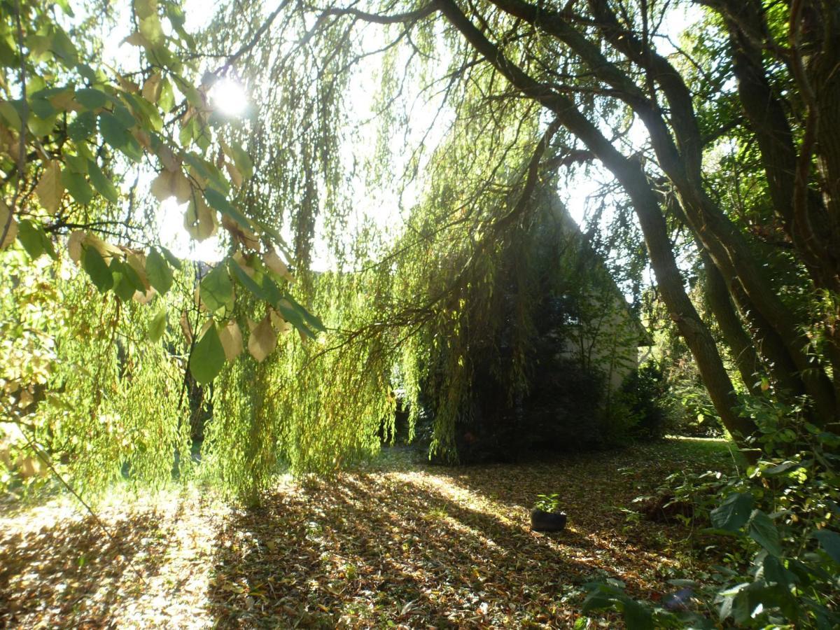 Fewo Im Naturschutzgebiet Hiddenhausen Exterior foto